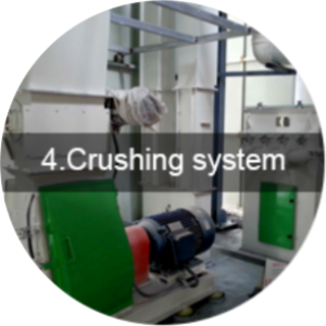 Crushing System