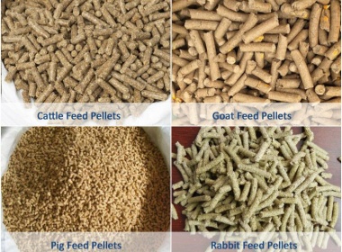 Livestock Feed Pellet