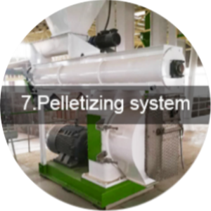 Pelletizing System