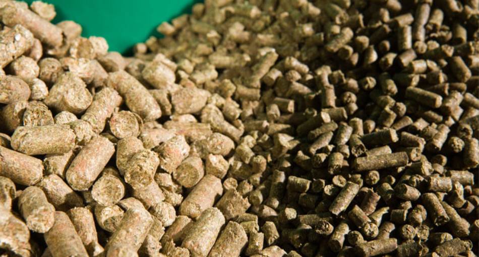 Animal Feed Processing