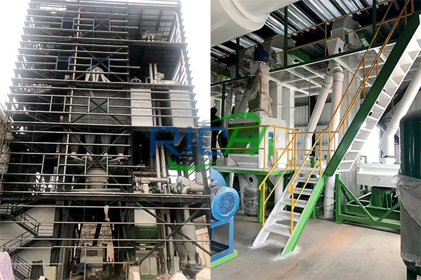 10 TH Fish Feed and 10 Th poultry&Livestock Feed Production Line in Algeria