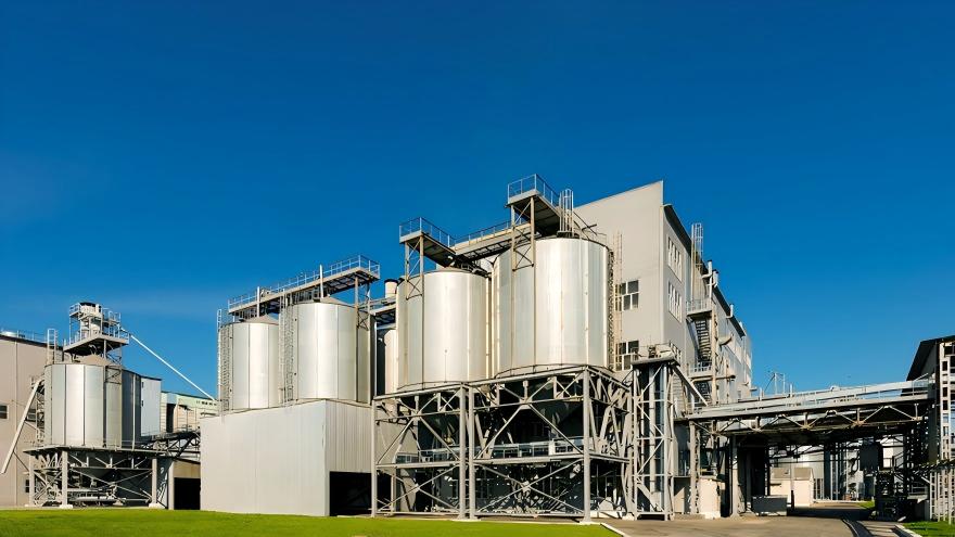 animal feed production plant in Algeria