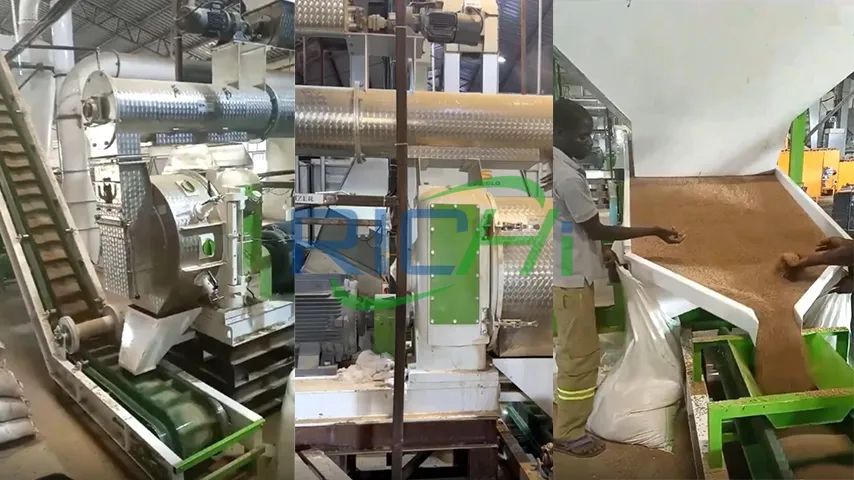 10-12 t/h animal feed Pellet Machine for Sale Pakistan