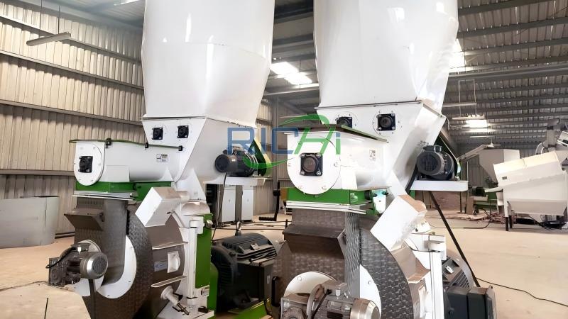 ऑस्ट्रिया में 5-6 टन प्रति घंटे की क्षमता वाली लकड़ी की धूल की पेलेट मिल