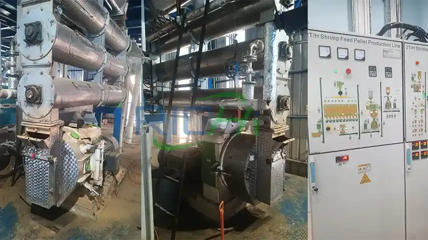 1.5-2 ton/h Animal Feed Pellet Machine in Pakistan