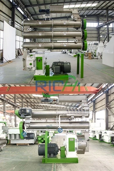 RICHI animal feed pellet machine in Pakistan