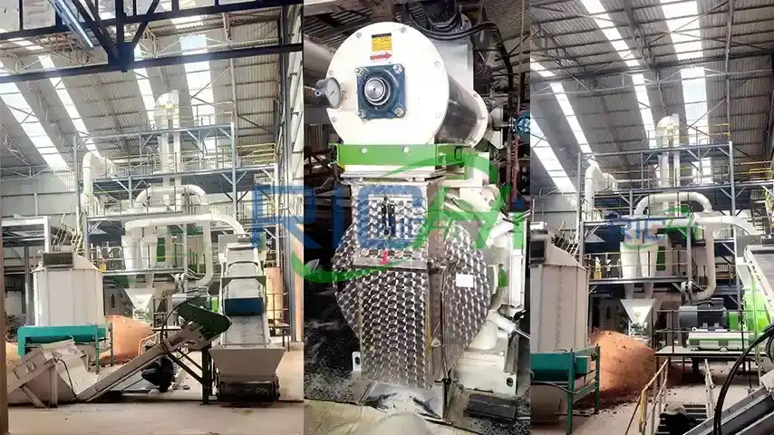 5-6 ton/h Feed Pellet Machine in Pakistan