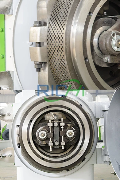 ring die and press roller