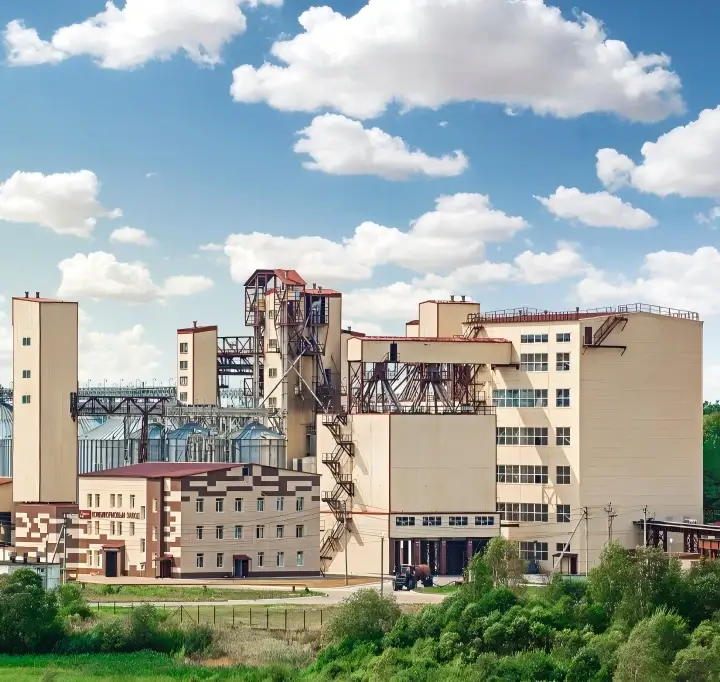 کارخانه خوراک طیور با ظرفیت ۸۰-۱۰۰ تن در ساعت