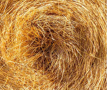 کاه کشاورزی