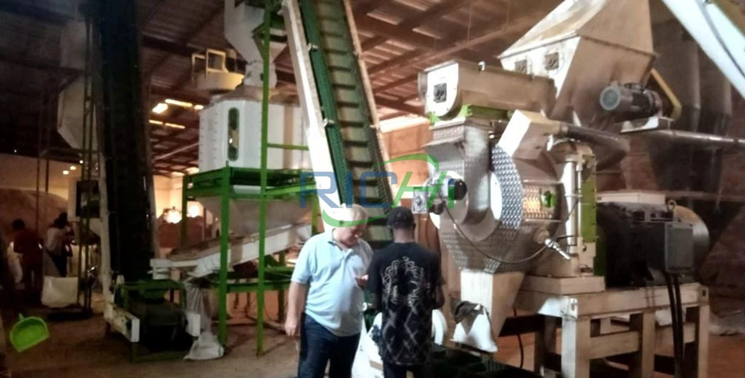 2-3tph Organic Fertilizer Pellet Making Machine for Sale Germany