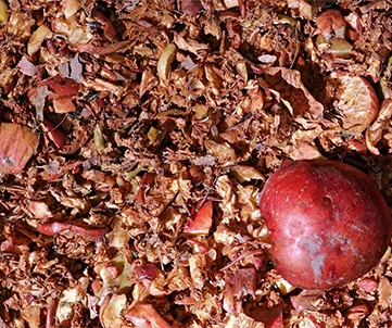 meva pomasi