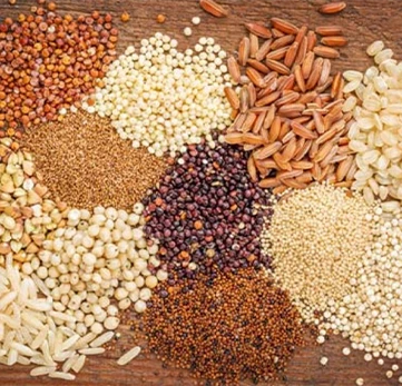 grains