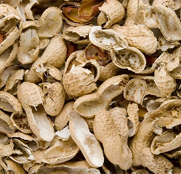 peanut shell