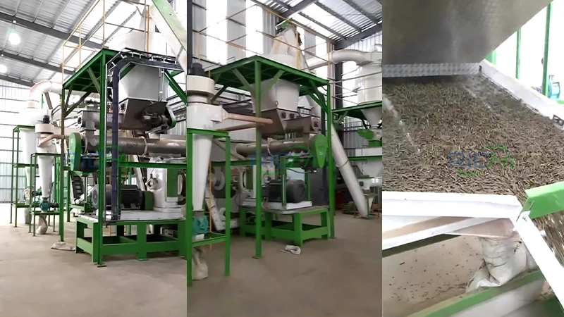 2-3 т/H Alfalfa Pelleting Machine for Sale Australia