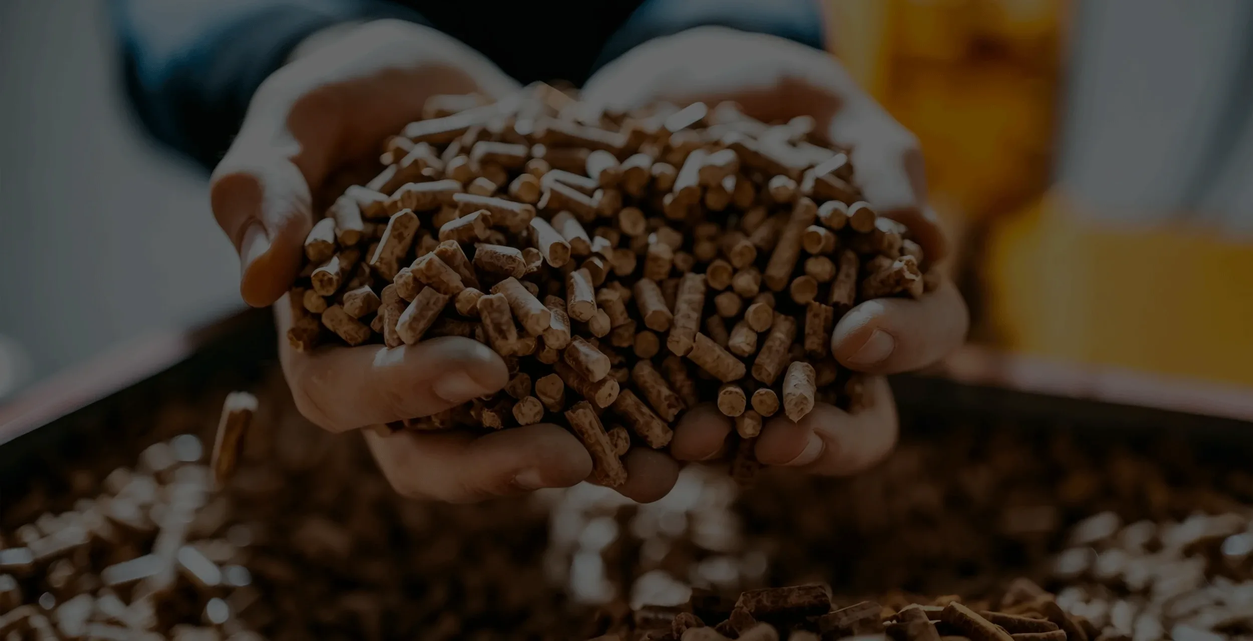 pellets de ração nas mãos