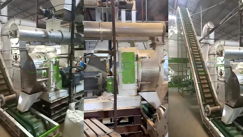 Uganda 8-10 T/H Sheep Feed Pellet Mill