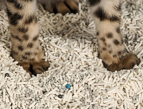 natural plant-based cat litter