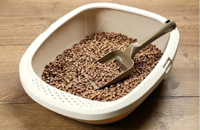wood cat litter