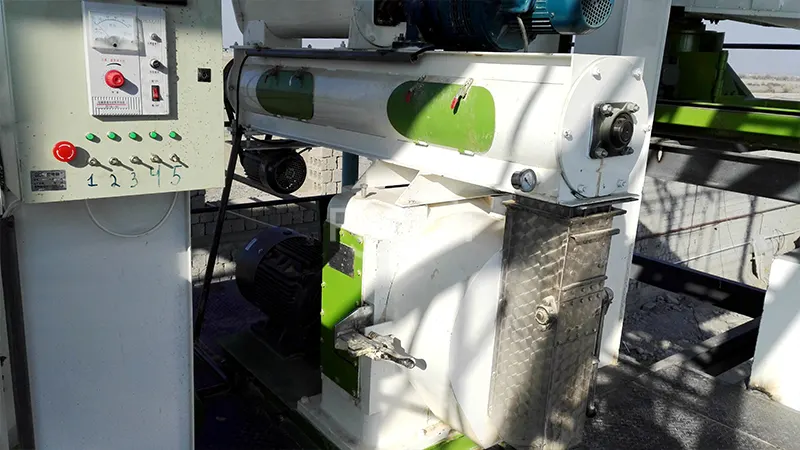 5-6TPH chicken feed pellet machine in Uzbekistan