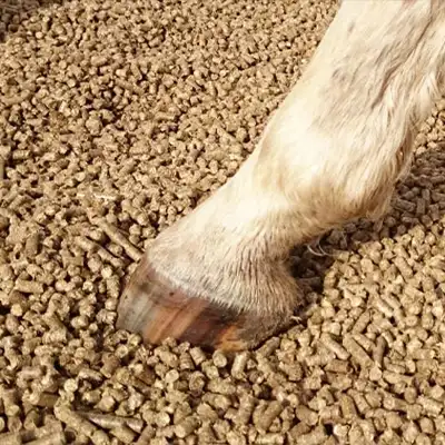 पशु बिस्तर की गोलियाँ