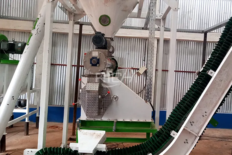Small Chicken Feed Pellet Machine in Rwanda