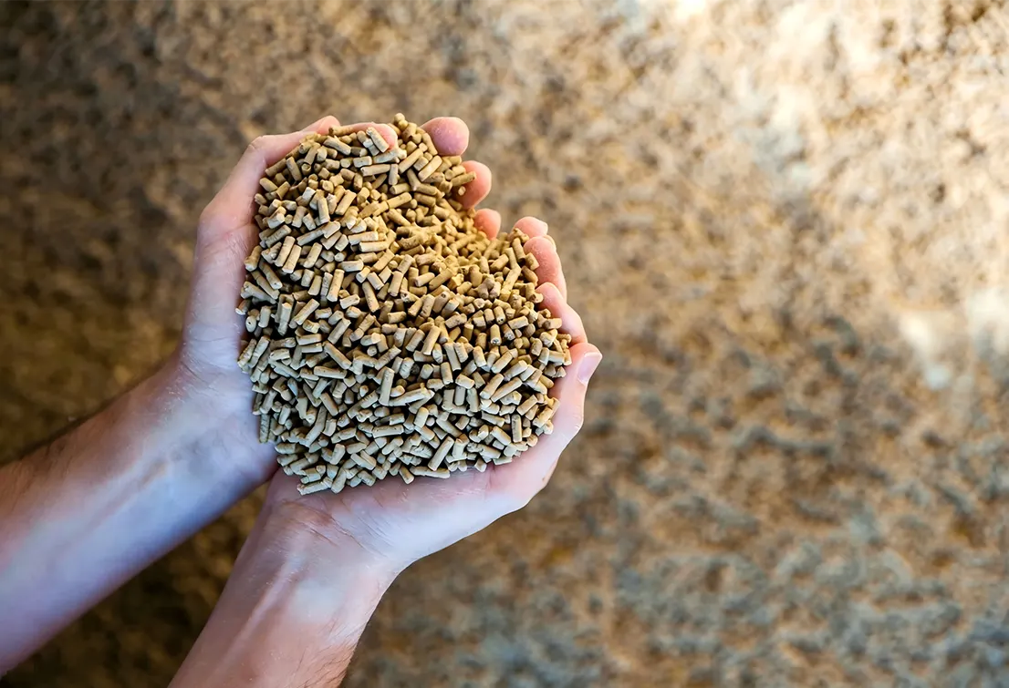 chicken feed pellets
