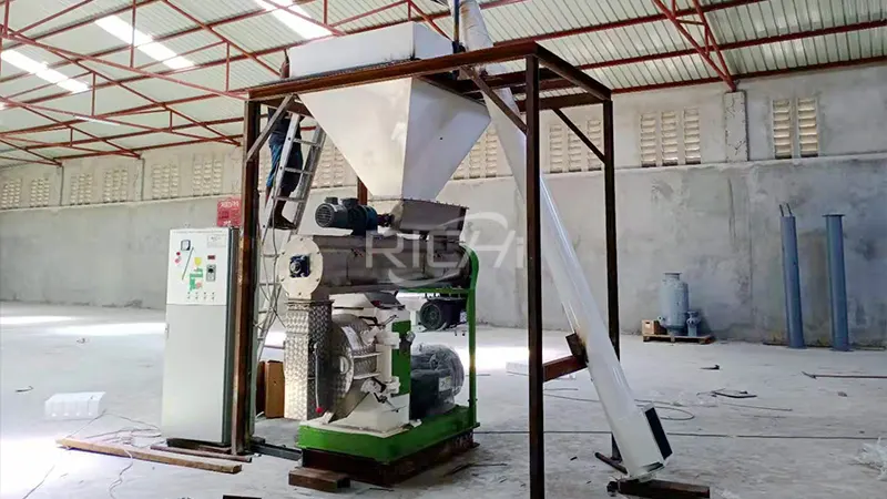 gear-driven chicken feed pellet machine in Tanzania