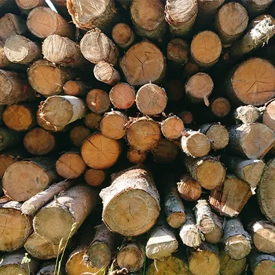 Registros