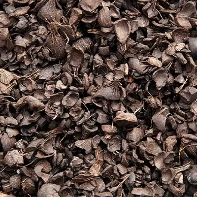 پوسته های هسته نخل