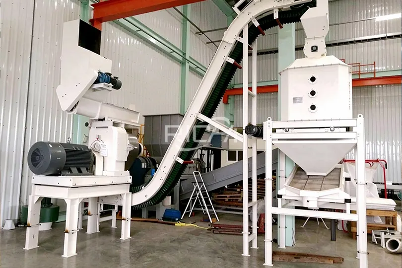 Máquina de pellets de hojas de 0,2-0,3 T/H en Rusia